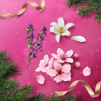 Beloved Hand Lotion Variety Gift Set 3ct - Imperfect Box