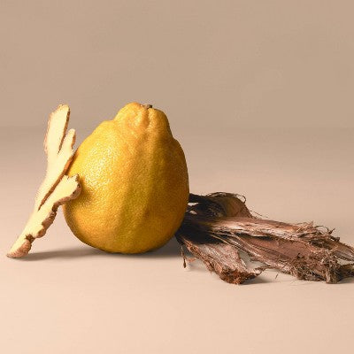 Being Frenshe Body Serum Stick with Magnesium Bergamot Cedar 2.6oz - New