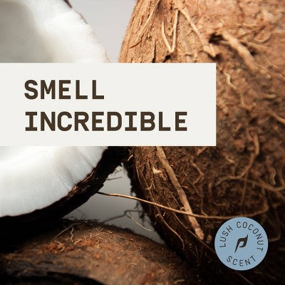 Papatui Men's Long-Lasting Odor Protection Body Deodorant Spray Lush Coconut 5oz - Imperfect Container