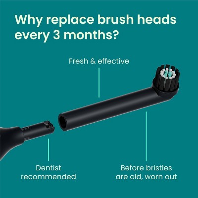 quip Rev Oscillating Brush Head Refill- Black 2pk - Imperfect Box