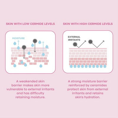 TONYMOLY Wonder Ceramide Mochi Toner 300ml - Imperfect Container